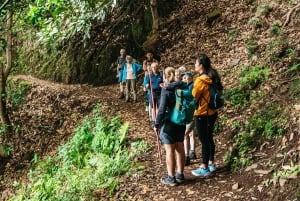 From Funchal: Machico to Porto da Cruz Larano Cliff Hike