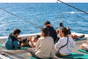 Desde Funchal: Excursión de avistamiento de delfines y ballenas en Madeira