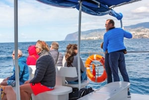 Desde Funchal: Excursión de avistamiento de delfines y ballenas en Madeira