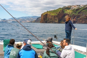 Desde Funchal: Excursión de avistamiento de delfines y ballenas en Madeira