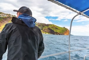 Desde Funchal: Excursión de avistamiento de delfines y ballenas en Madeira