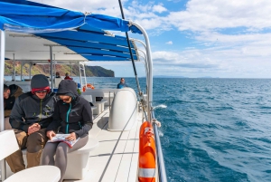 Desde Funchal: Excursión de avistamiento de delfines y ballenas en Madeira