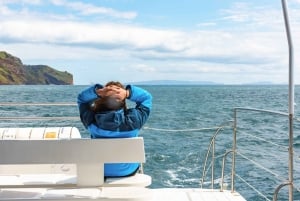 Desde Funchal: Excursión de avistamiento de delfines y ballenas en Madeira