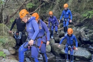 From Funchal: Madeira Island Canyoning for Beginners