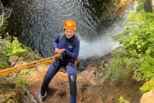 From Funchal: Madeira Island Canyoning for Beginners