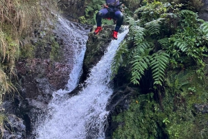 From Funchal: Madeira Island Canyoning for Beginners