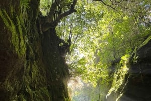 From Funchal: Madeira Island Canyoning for Beginners