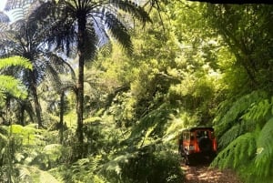 From Funchal: Madeira Island Private Jeep 4x4 Tour