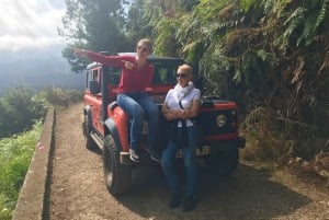 From Funchal: Madeira Island Private Jeep 4x4 Tour