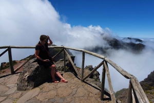 Från Funchal: Madeira Island Privat Jeep 4x4-tur