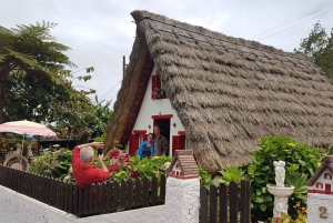 Från Funchal: Madeira Island Privat Jeep 4x4-tur