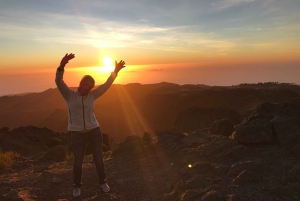 Från Funchal: Madeira Island Privat Jeep 4x4-tur