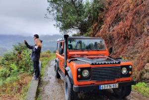 Från Funchal: Madeira Island Privat Jeep 4x4-tur