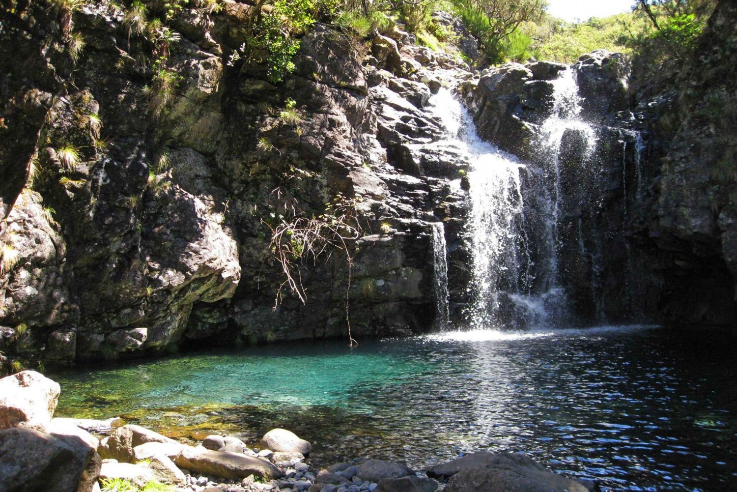 From Funchal: Madeira Lakes Levada Guided Hike