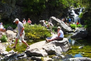 From Funchal: Madeira Lakes Levada Guided Hike