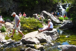 Funchalista: Madeiran Levada-järvien opastettu patikointi