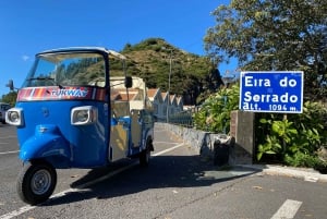 From Funchal: Madeira Nuns Valley Sightseeing Tuk-Tuk Tour