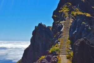 From Funchal: Madeira Peaks Mountain Walk