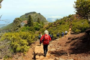 From Funchal: Madeira Peaks Mountain Walk