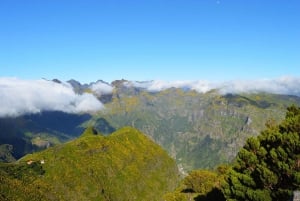 From Funchal: Madeira Peaks Mountain Walk