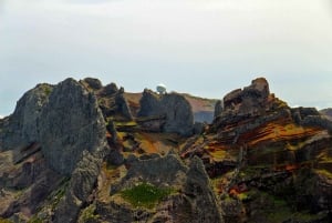 From Funchal: Madeira Peaks Mountain Walk