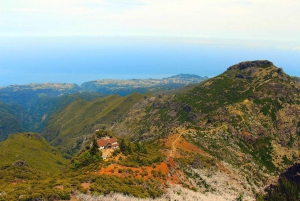 From Funchal: Madeira Peaks Mountain Walk