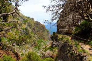 From Funchal: Madeira Peaks Mountain Walk