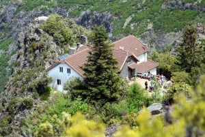 From Funchal: Madeira Peaks Mountain Walk