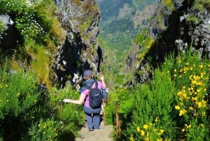 From Funchal: Madeira Peaks Mountain Walk