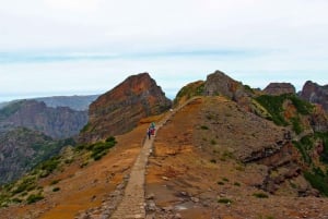 From Funchal: Madeira Peaks Mountain Walk