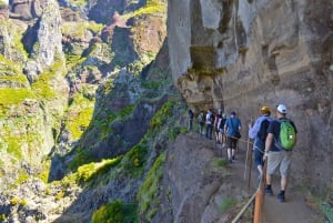 From Funchal: Madeira Peaks Mountain Walk