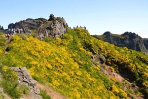 From Funchal: Madeira Peaks Mountain Walk