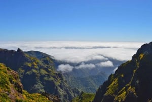 From Funchal: Madeira Peaks Mountain Walk