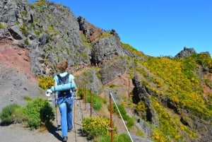 From Funchal: Madeira Peaks Mountain Walk