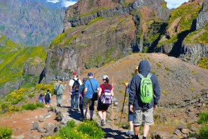 From Funchal: Madeira Peaks Mountain Walk