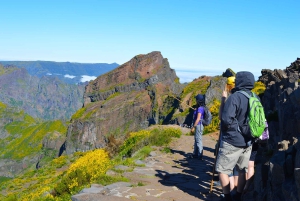 Z Funchal: górski spacer po szczytach Madery