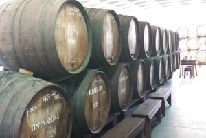 From Funchal: Madeira Wine Tour, Cable Car & Typical Lunch