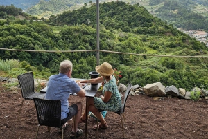 From Funchal: Madeira Wine Tour, Cable Car & Typical Lunch