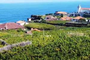From Funchal: Madeira Wine Tour, Cable Car & Typical Lunch