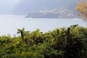 From Funchal: Madeira Wine Tour, Cable Car & Typical Lunch