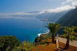 Z Funchal: 1-dniowa wycieczka na północne wybrzeże