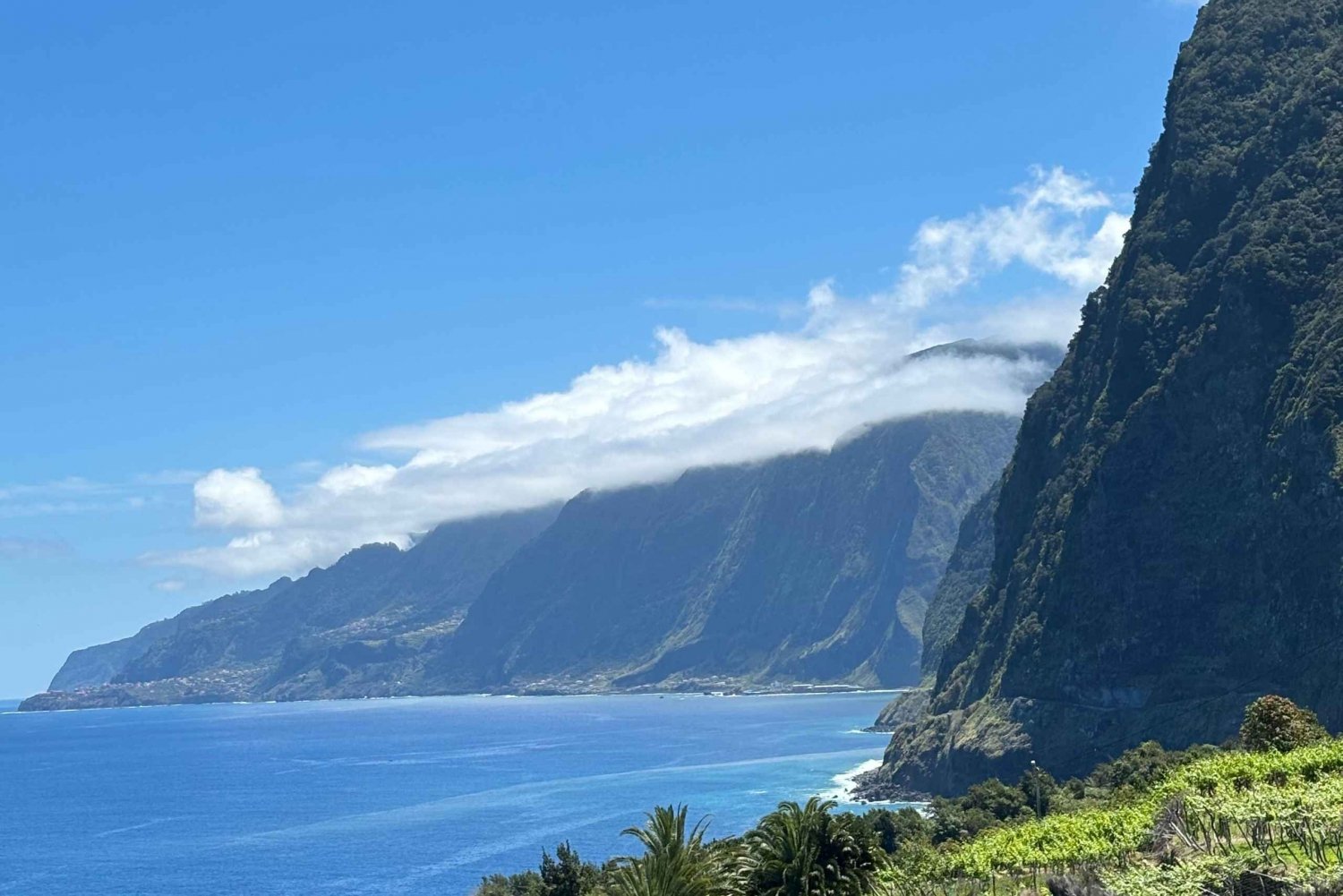 Madeiral: One day tour to Cabo Girão - Fanal - Porto Moniz