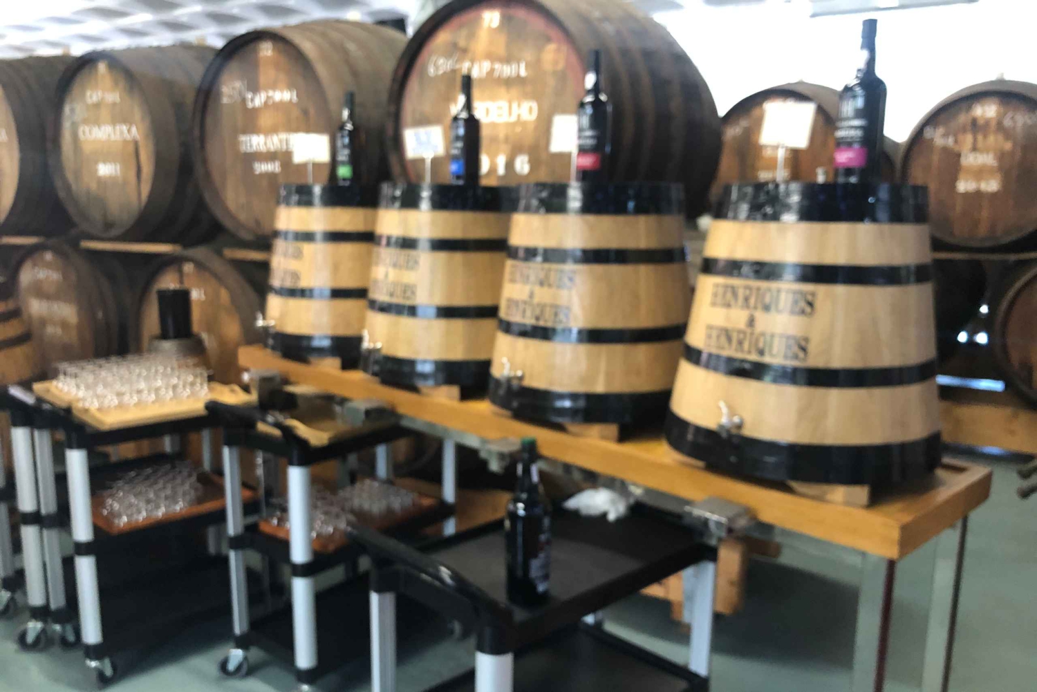 Vanuit Funchal: jeeptour met open dak en wijnproeverij op Madeira