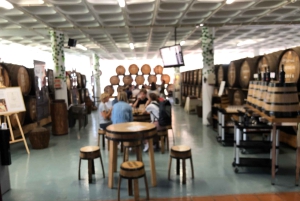 Vanuit Funchal: jeeptour met open dak en wijnproeverij op Madeira