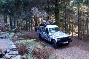 Vanuit Funchal: jeeptour met open dak en wijnproeverij op Madeira