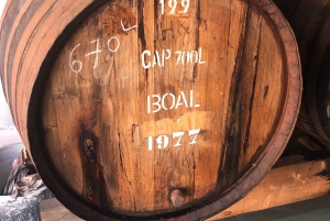 Vanuit Funchal: jeeptour met open dak en wijnproeverij op Madeira