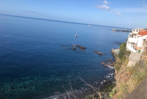 Vanuit Funchal: jeeptour met open dak en wijnproeverij op Madeira