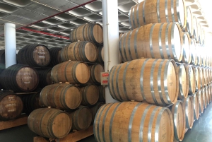 Vanuit Funchal: jeeptour met open dak en wijnproeverij op Madeira