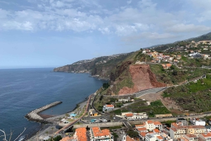 Vanuit Funchal: jeeptour met open dak en wijnproeverij op Madeira