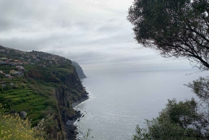 Vanuit Funchal: jeeptour met open dak en wijnproeverij op Madeira